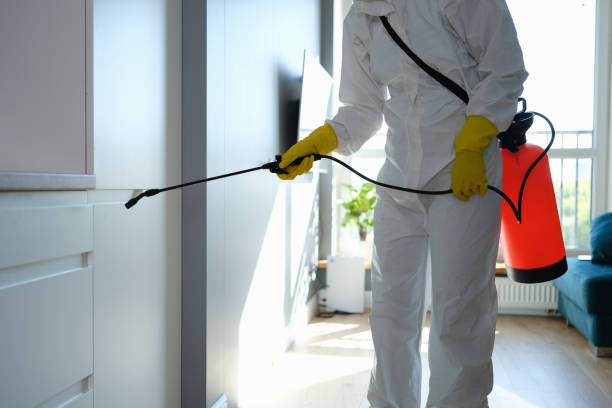 Best Certified Mold Removal  in Rutherford, NJ