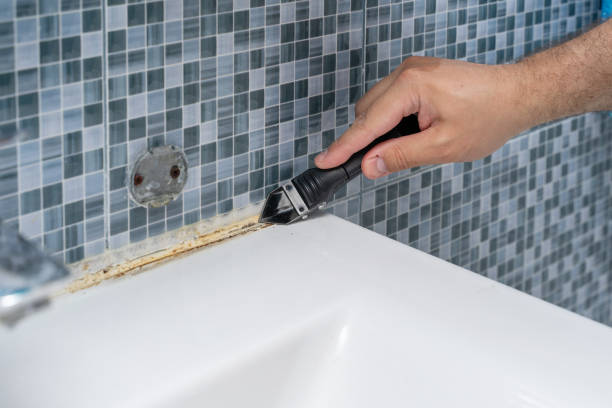 Best Fast Mold Removal  in Rutherford, NJ