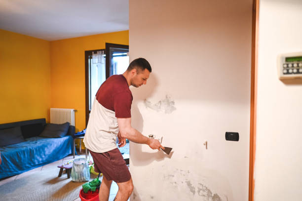 Best Office Mold Removal Services  in Rutherford, NJ