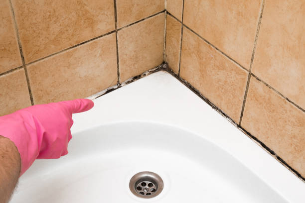 Best Mold Testing  in Rutherford, NJ